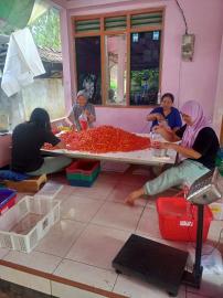 CABAI TIDAK LAGI TERASA PEDAS, DIRASAKAN PEMISAH CABAI DI KARANGWUNI